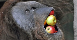 Kyle&#39;s 2023 Books Read