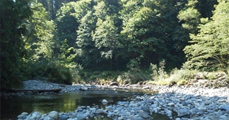 Knowledge and Wisdom