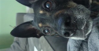 Kay&#39;s 40 Favorite Movies