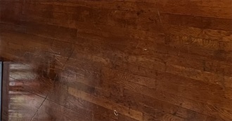 All the Movies Watched by a 24 Year Old in the Midwest So Far