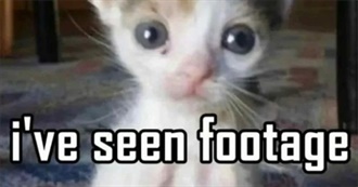 Horror Novels Windy Has Read