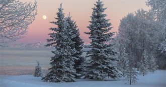 Best Stage Productions to See in December