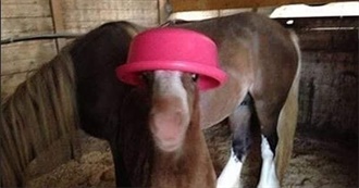 Shasha&#39;s Favourite Movies