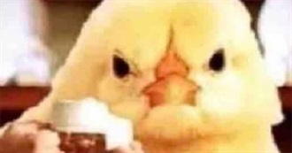 Second 1/4 of Escork&#39;s Reading 2025