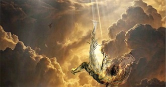 Selman's Movies Watched in 2025