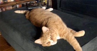 What Goodreads Friends Are Reading 2025