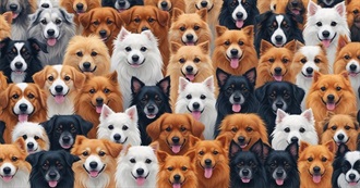 Books I&#39;ve Read That You Haven&#39;t Heard of **13