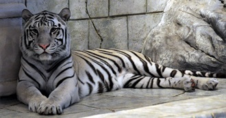 120 Cool Movies From the Year 2000 Until 2004; Starting W/ Sexy Beast