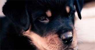 Chelsea&#39;s Favorite Actresses