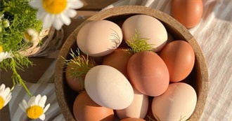 What a Sloth Ate - 18