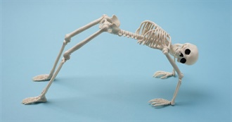 Foods to Build Strong Bones