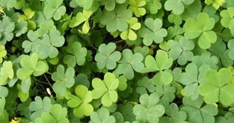 Bug&#39;s ESSENTIAL Albums