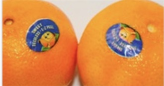 Food, and More Food!!!