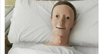 Jitka&#39;s Favorite Movies