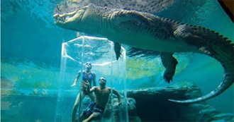 33 Insane, Eye Popping and Incredible Records/Facts Ever!