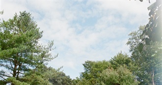 Violeta&#39;s Favorite Albums