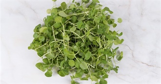 10 Foods With Watercress