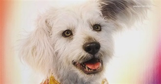 Every 2025 New Release Tubcat1313 Saw That Year