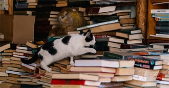 Jessica's Out-Of-Control 2026 TBR