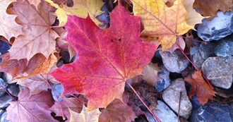 CJDJ&#39;s Current Playlist