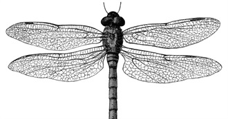 Some of Darner&#39;s Favorite Books