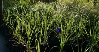 10 Books From Gem&#39;s High School Years