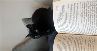 Katie&#39;s 75 Favorite Books