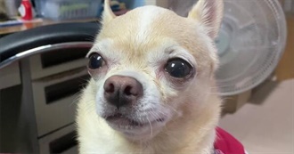 Charlies Music Top 100