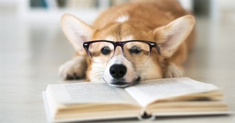 Bookoftheday&#39;s Picks From 2016