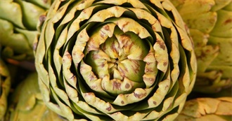 20 Foods With Artichokes