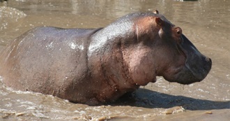 Places to See Around the World - The Very Long Edition!