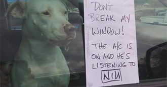 Jamie&#39;s Top 50 Bands N Artists