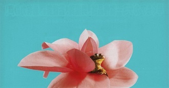 Movies That Wyatt Makes Everybody Watch During Her Birthday Week