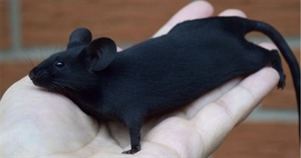 Outdatedprometheus&#39; Top 100 Movies