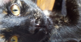 Killian&#39;s Movie Taste