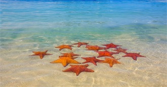 Lonely Planet&#39;s Top Caribbean Sites