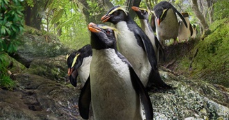 Our Planet Episode Guide