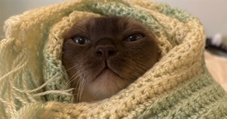 Eldritch&#39;s Top 100 Movies