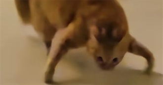 100 Movies I&#39;ve  Seen