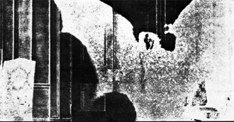 Albums That Grew Fruit(Y)