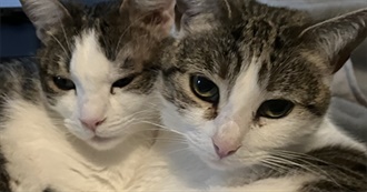 Top 100 Movies Lalala ^__^