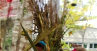 Foster4321&#39;s Travels - Where Have You Been?