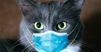 Do You Know Your Cats?