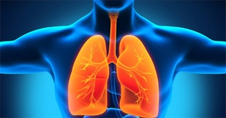 Medical Conditions in Humans