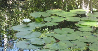 SKJAM! Reads--One Read, One Recommended 9/25