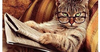 100 Must-Read Books With Cats in Them