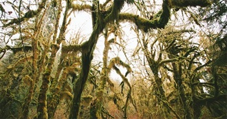 Nature&#39;s Revenge: Ten Tales of Eco-Horror