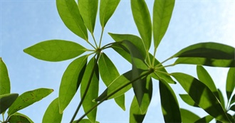 Kat&#39;s All Time Fav Books