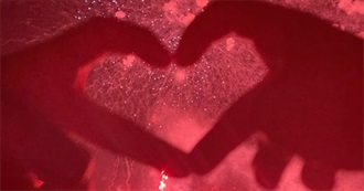 Harlow&#39;s Celebrity Crushes