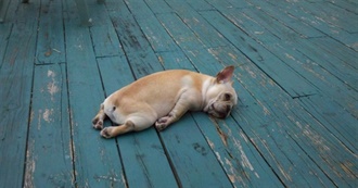 The Battle of Bex&#39;s TOP 150 Movies